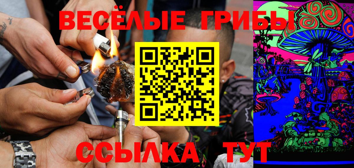 Усолье-Сибирское  Галлюциногенные грибы GOLDEN TEACHER  Псилоцибиновые грибы Psilocybine cubensis  Вход с VPN 